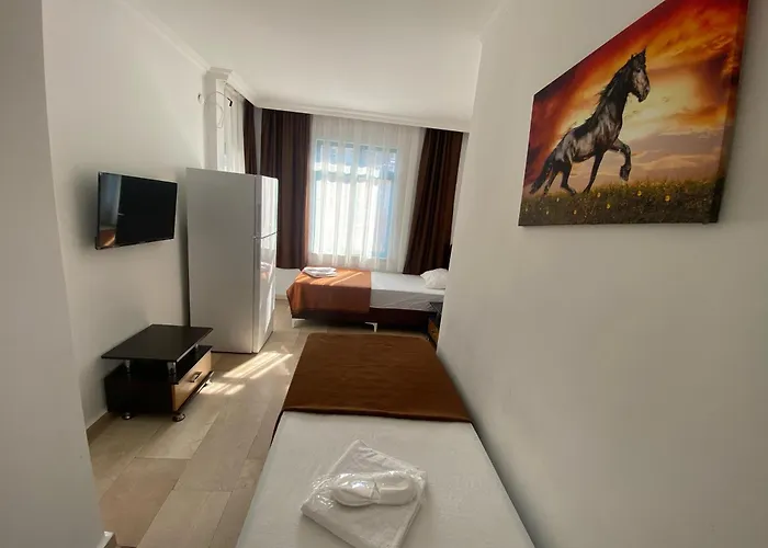Hotel Hotel Alanya Afd 3*